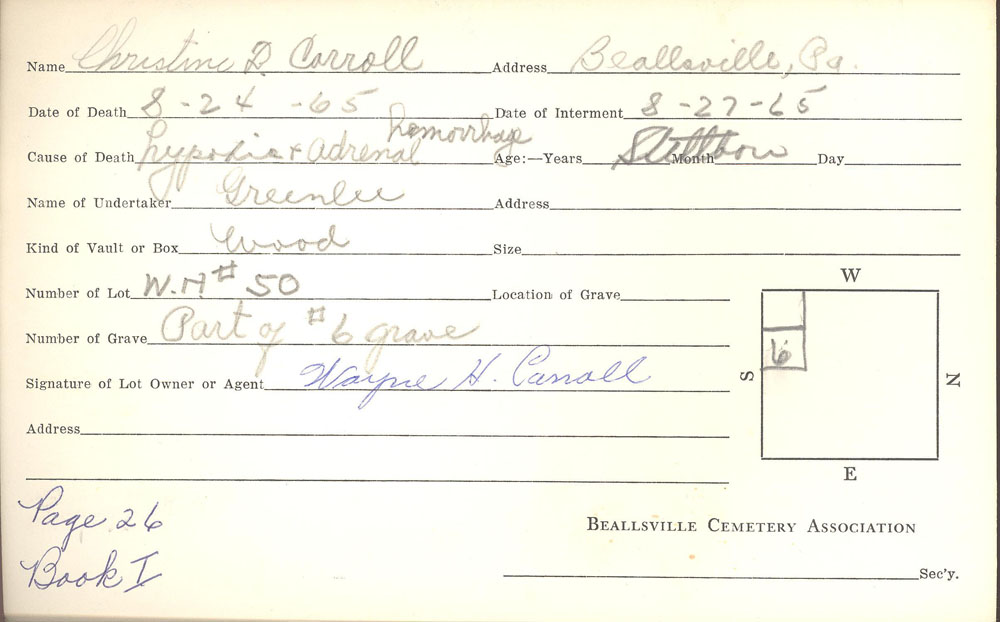 Christine D. Carroll 